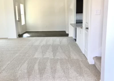 Move Out Cleaning