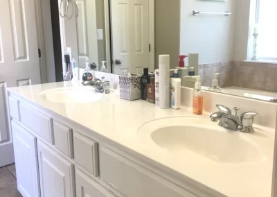 Professional Home Cleaner